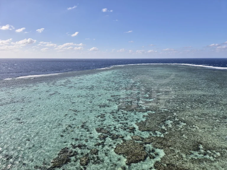 Daedalus reef - north-west side, Red Sea