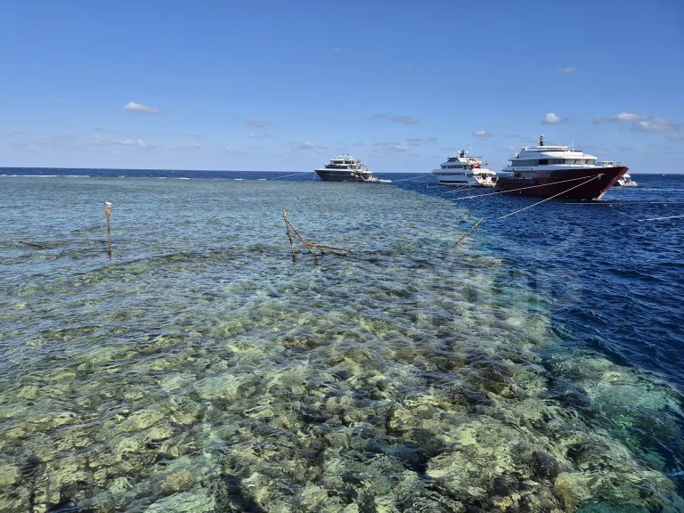 Boats at Daedalus reef, Red Sea