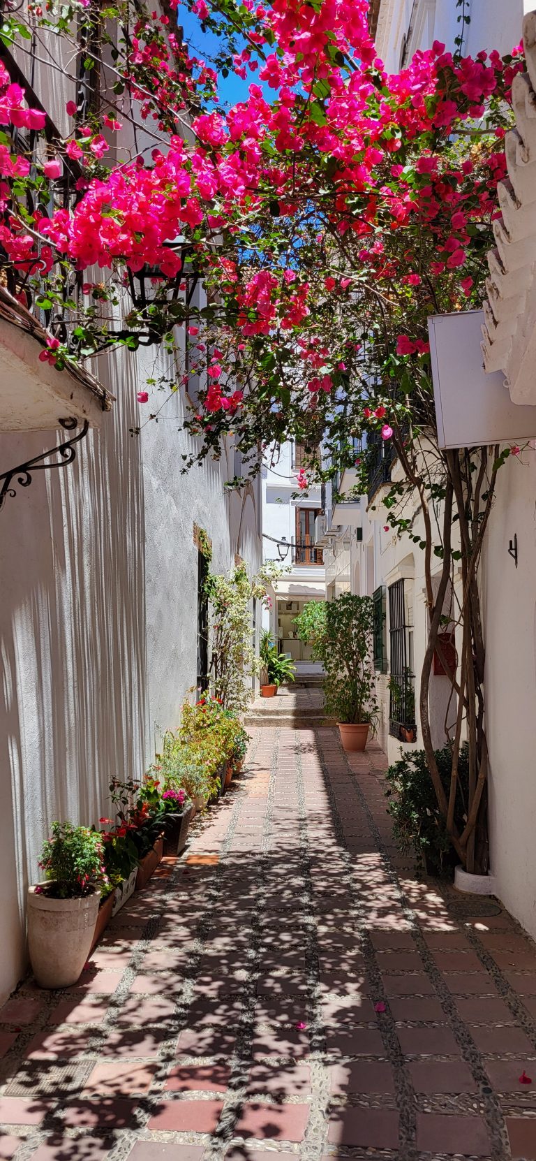 Marbella Old Town street