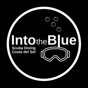 Into_the_blue-CDS-logo