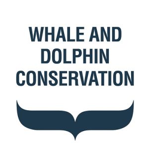 whale and dolphin conservation logo